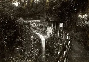 Shanklin Chine, Isle of Wight