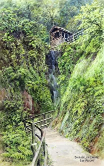 Chine Collection: Shanklin Chine, Isle of Wight