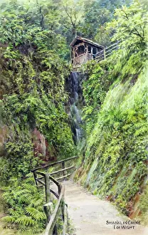 Chine Prints: Shanklin Chine, Isle of Wight