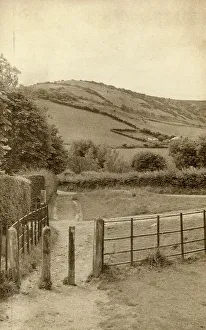 Shanklin Downs from Luccombe Common, Isle of Wight