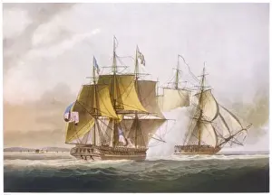 Shannon V Chesapeake