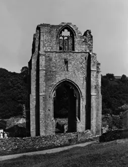 SHAP ABBEY