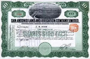 Stocks Collection: Share certificate, San Antonio Land and Irrigation Company