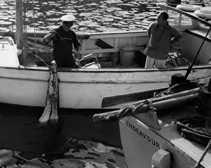 Shark Prints: Shark Fishing