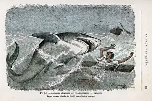 Predator Prints: Shark pursuing a shipwrecked sailor