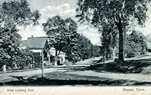 Sharon, Connecticut, USA - Tree-lined Avenue looking east