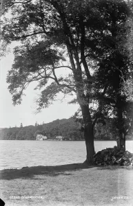 Greenery Prints: Shearwater Lakeside View