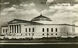 Aquarium Collection: Shedd Aquarium - Chicago 1933 Worlds Fair