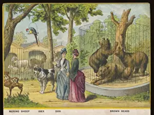 Wandering Prints: Sheep and Bears Zoo