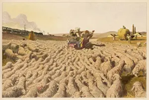 Desperate Prints: Sheep Block Road