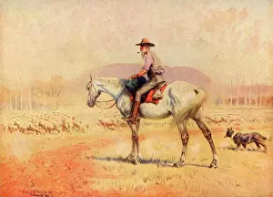 Flock Prints: Sheep drover in Australia