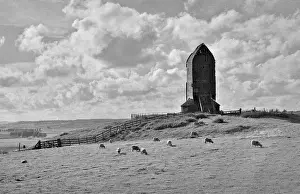 Disused Prints: Sheep in a field with a disused windmill