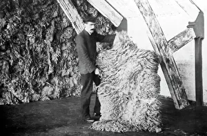 Fleece Prints: A sheep fleece from Australia at a woollen mill in Bradford