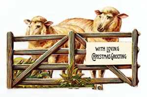 Cutout Collection: Two sheep behind a gate on a cutout Christmas card
