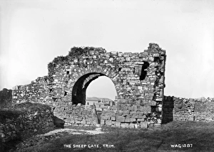 Stump Gallery: The Sheep Gate, Trim