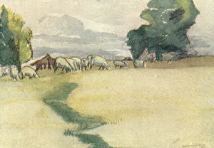 Sadler Prints: Sheep and Horses