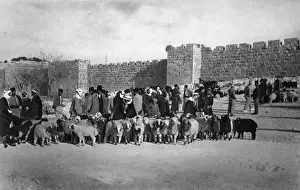 Sheep market at Herods Gate, Jerusalem