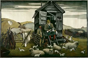 Shepherd Collection: Sheep poster