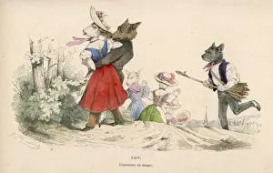 Hurries Prints: SHEEP RESCUED FROM WOLF