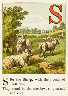 Alphabets Prints: Sheep and Shepherd 1867