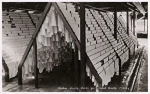 Malaysian Prints: Sheets of Rubber drying on racks - Malaysia