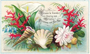 Bluebell Prints: Shells, coral and flowers on a Christmas card