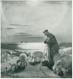 Crook Prints: The Shepherd