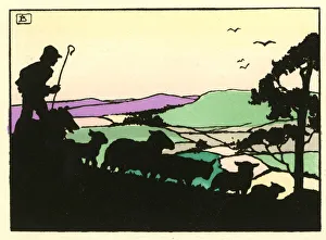 Images Dated 6th September 2018: Shepherd boy and his flock