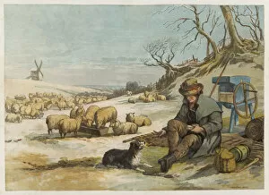 Winters Collection: SHEPHERD & DOG IN WINTER SHEPHERD & DOG IN WINTER