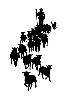 Shepherd and his flock