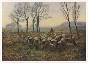 Shepherd and Flock 1913