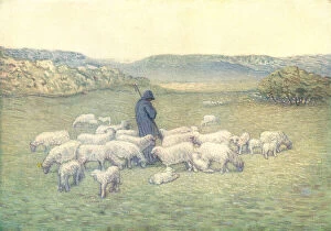 Hooded Collection: The Shepherd And His Flock