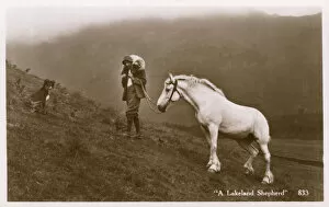Faithful Collection: A shepherd of the Lakes with dog and leading his horse