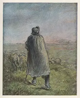 Shepherd (Millet)