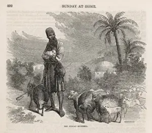 Shepherd, Palestine