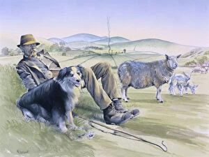 A shepherd resting