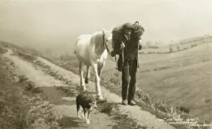 Cumbrian Gallery: Shepherd with sheep, horse and dog