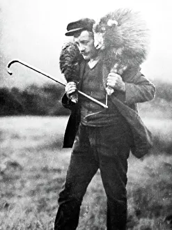 Shepherd with sheep, Lake District, Victorian period