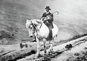 Shepherd with sheep, Lake District, Victorian period