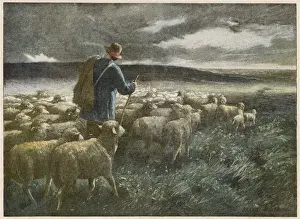 Shepherd and Storm