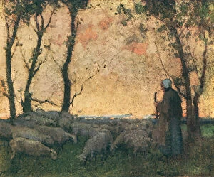 Sunset Collection: Shepherding The Flock