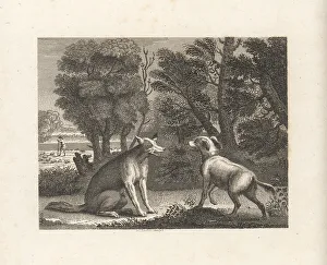William Skelton Prints: The Shepherd's Dog and the Wolf