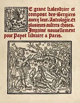Surround Prints: Shepherds in the Fields