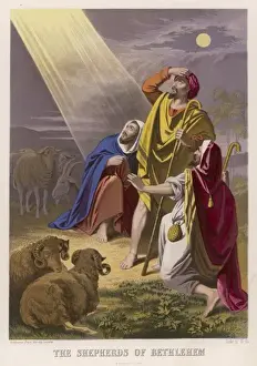 Shepherds Informed