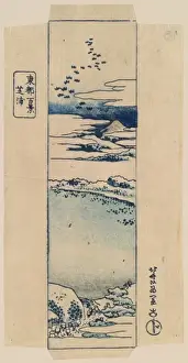 Shibaura