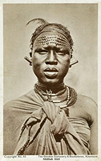 Bearing Collection: Shilluk Girl bearing extensive traditional scarfication