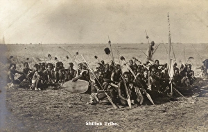 Images Dated 14th June 2011: The Shilluk Tribe - Sudan, Africa