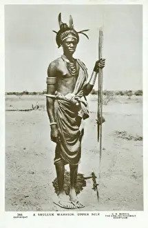 Spears Prints: A Shilluk Warrior - Upper Nile, Sudan, Africa