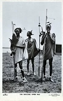 Hairstyles Collection: Three Shilluk Warriors of the Upper Nile, Sudan