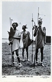 Hairstyles Collection: Three Shilluk Warriors of the Upper Nile, Sudan
